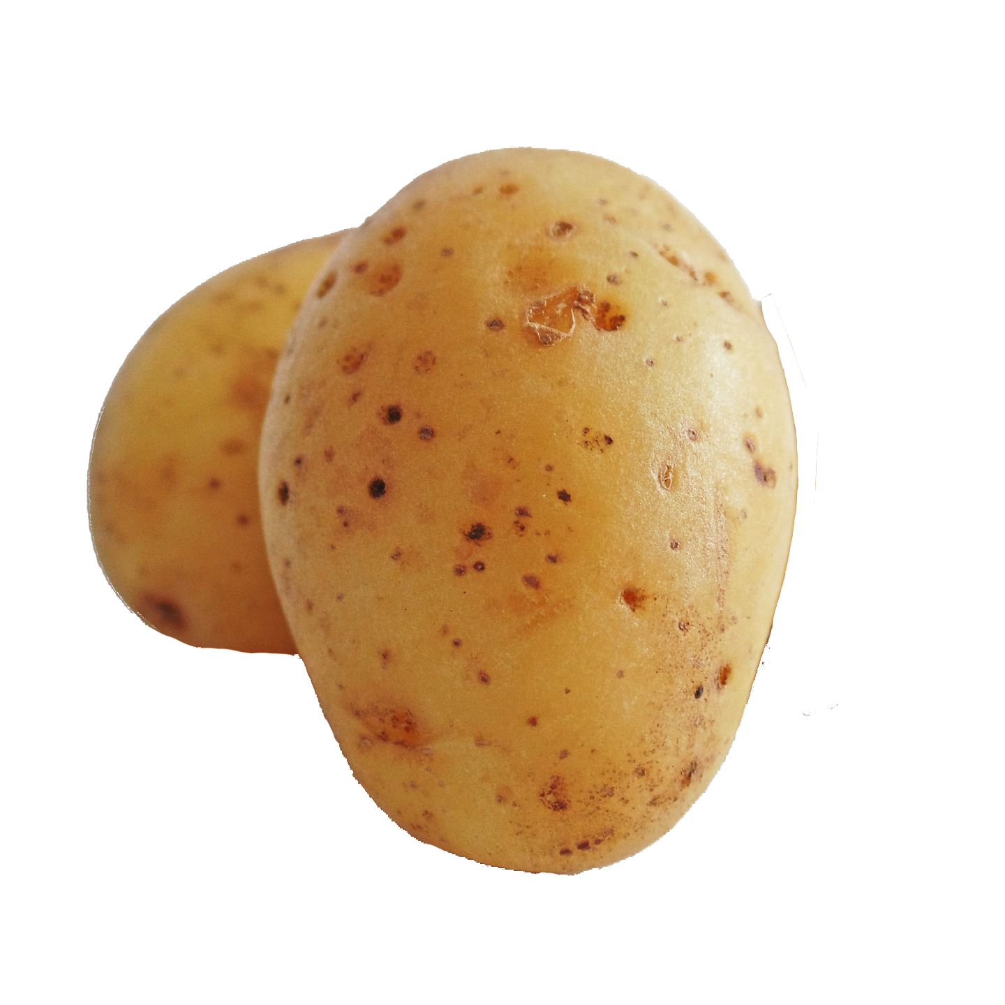 patates, pommes de terre